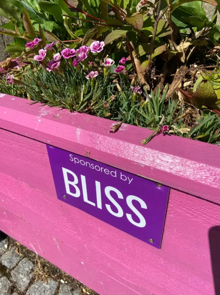 A pink painted planter with a sponsor plaque